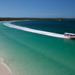 Dolphin watch eco cruise along Long Beach in Jervis Bay