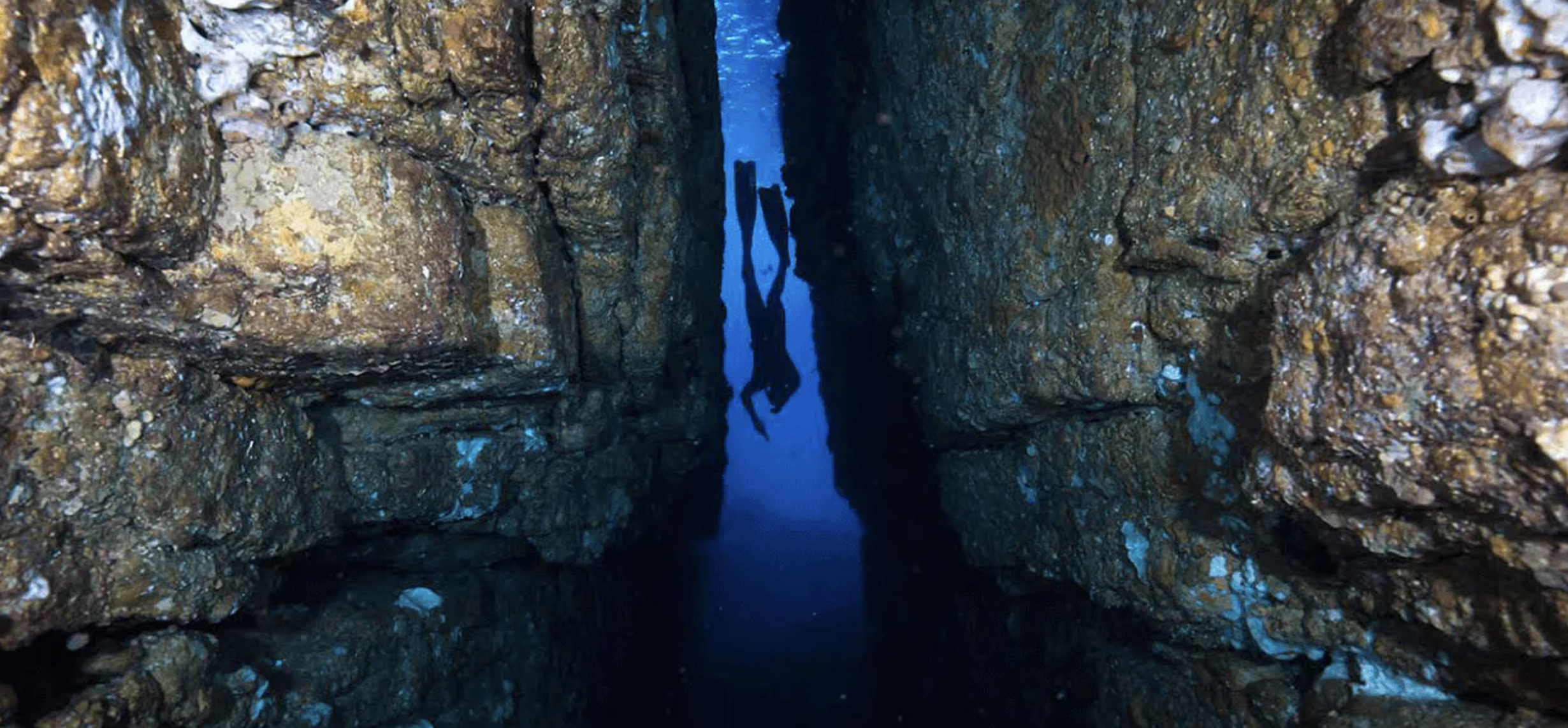 Explore And Discover Jervis Bay With Woebegone Freedive - Paperbark Camp