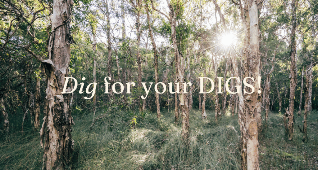 Dig for your DIGS
