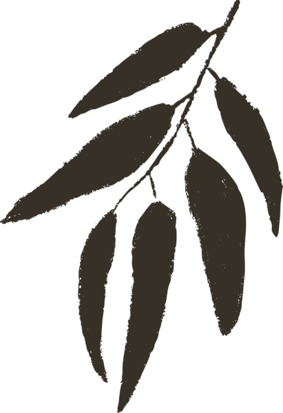 GUM LEAF@10x